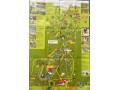 wildfreizeitpark-oberreith-small-2